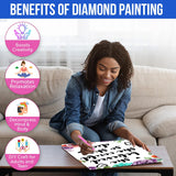 She Believed She Could Diamond Art Kit