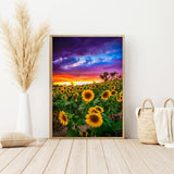 Sunflower Field at Sunset Diamond Art Kit