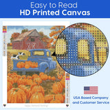 Pumpkin Diamond Art Kits